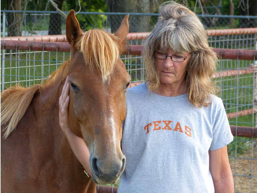 Pregnant Mare Saved From Slaughterhouse Sees Baby For First Time